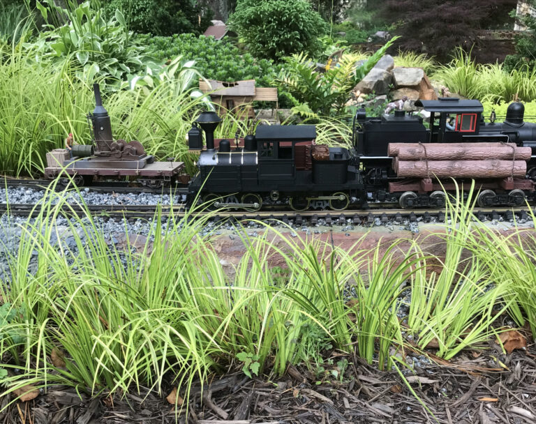 6D11D623-242C-4DF0-AFF1-6629B69C148B